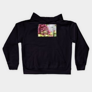 Honey Bees & Pink / Swiss Artwork Photography Kids Hoodie